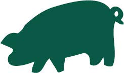 Decaltor Pig 5 in Vinyl Decal for Laptop Bumper Wall