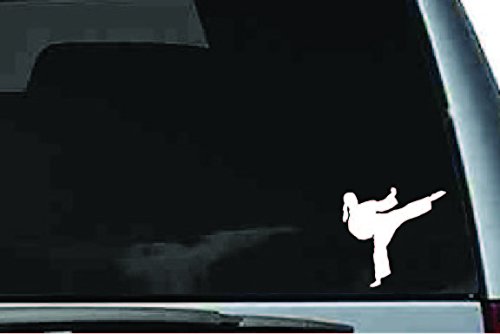 Picniva Martial Arts Fighter Sty228 Vinyl Car Window Decal, Approx 5 in