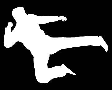 Picniva Martial Arts Fighter Sty109 Vinyl Car Window Decal, Approx 5 in