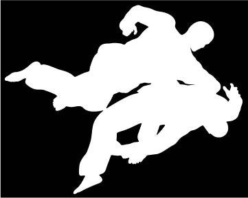 Picniva Martial Arts Fighter Type24 Vinyl Car Window Decal, Approx 5 in