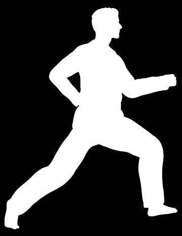 Picniva Martial Arts Fighter Sty167 Vinyl Car Window Decal, Approx 5 in