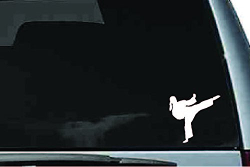 Picniva Martial Arts Fighter Sty227 Vinyl Car Window Decal, Approx 5 in