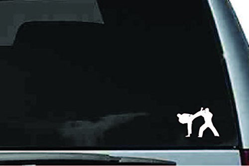 Picniva Martial Arts Fighter Sty4 Vinyl Car Window Decal, Approx 5 in