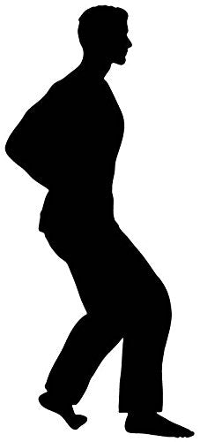 Picniva Martial Artist Retreating Pose Removable Vinyl Wall Decal