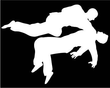 Picniva Martial Arts Fighter Type22 Vinyl Car Window Decal, Approx 5 in