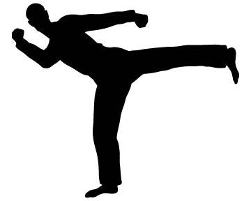 Picniva Fighting Sport Style 133 Removable Vinyl Wall Decal