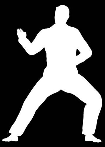 Picniva Martial Arts Fighter Sty64 Vinyl Car Window Decal, Approx 5 in