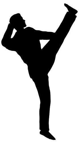Picniva Martial Artist High Kick Removable Vinyl Wall Decal