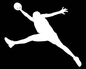Picniva Basketball Type1 Vinyl Car Window Decal, Approx 5 in