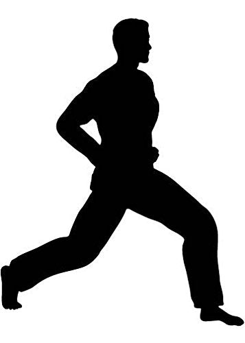 Picniva Fighting Sport Style 149 Removable Vinyl Wall Decal