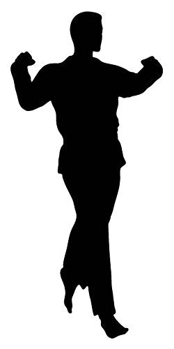 Picniva Fighting Sport Style 71 Removable Vinyl Wall Decal