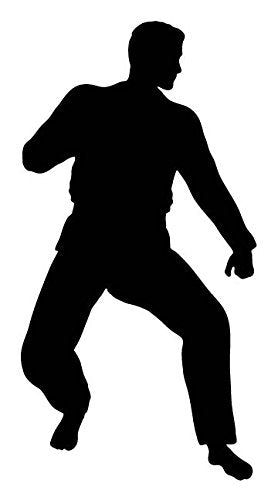 Picniva Fighting Sport Style 121 Removable Vinyl Wall Decal