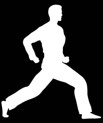 Picniva Martial Arts Fighter Sty162 Vinyl Car Window Decal, Approx 5 in