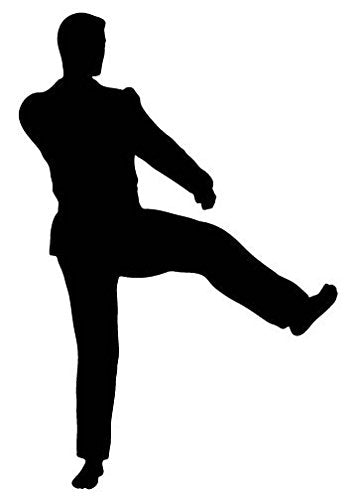 Picniva Fighting Sport Style 93 Removable Vinyl Wall Decal