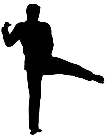 Picniva Fighting Sport Style 144 Removable Vinyl Wall Decal