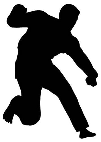 Picniva Fighting Sport Style 85 Removable Vinyl Wall Decal