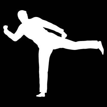Picniva Martial Arts Fighter Sty131 Vinyl Car Window Decal, Approx 5 in