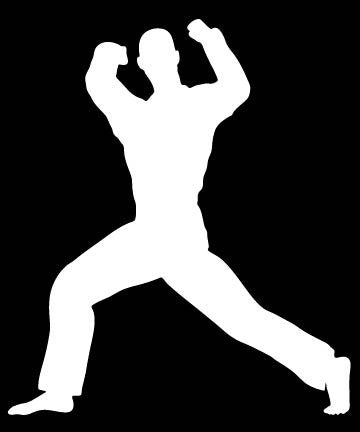 Picniva Martial Arts Fighter Sty61 Vinyl Car Window Decal, Approx 5 in