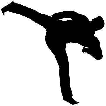 Picniva Martial Artist Side Kick Removable Vinyl Wall Decal