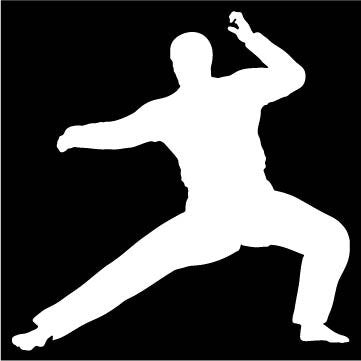 Picniva Martial Arts Fighter Type6 Vinyl Car Window Decal, Approx 5 in