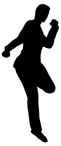 Picniva Fighting Sport Style 106 Removable Vinyl Wall Decal