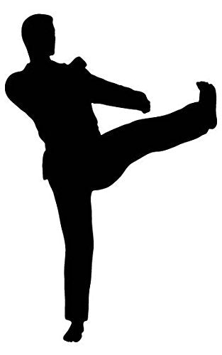 Picniva Fighting Sport Style 96 Removable Vinyl Wall Decal
