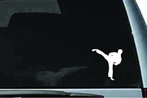 Picniva Martial Arts Fighter Sty225 Vinyl Car Window Decal, Approx 5 in