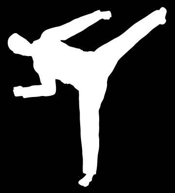 Picniva Martial Arts Fighter Sty138 Vinyl Car Window Decal, Approx 5 in
