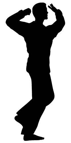 Picniva Fighting Sport Style 158 Removable Vinyl Wall Decal