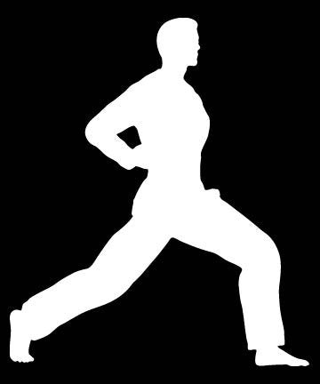 Picniva Martial Arts Fighter Sty164 Vinyl Car Window Decal, Approx 5 in