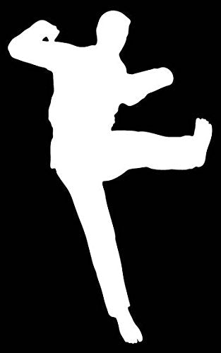 Picniva Martial Arts Fighter Sty76 Vinyl Car Window Decal, Approx 5 in