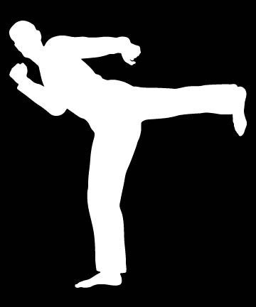 Picniva Martial Arts Fighter Sty136 Vinyl Car Window Decal, Approx 5 in