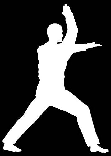 Picniva Martial Arts Fighter Sty53 Vinyl Car Window Decal, Approx 5 in