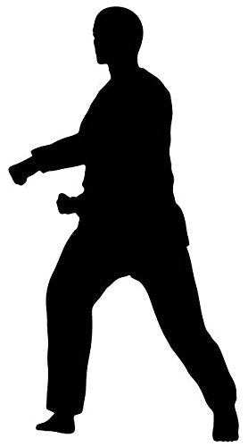 Picniva Fighting Sport Style 58 Removable Vinyl Wall Decal