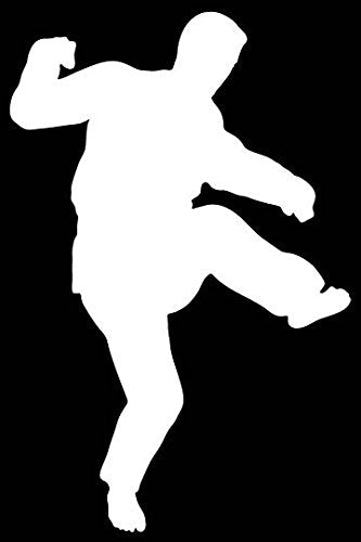 Picniva Martial Arts Fighter Sty81 Vinyl Car Window Decal, Approx 5 in