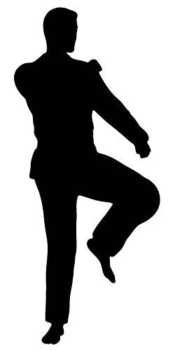 Picniva Fighting Sport Style 91 Removable Vinyl Wall Decal