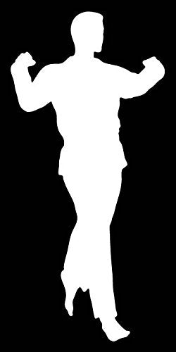 Picniva Martial Arts Fighter Sty71 Vinyl Car Window Decal, Approx 5 in