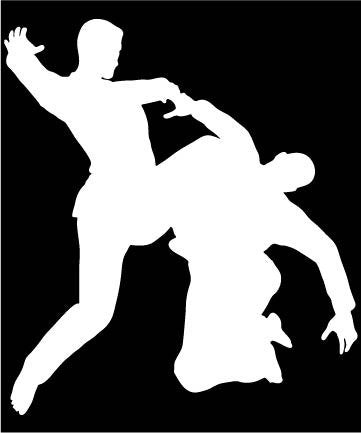 Picniva Martial Arts Fighter Type26 Vinyl Car Window Decal, Approx 5 in