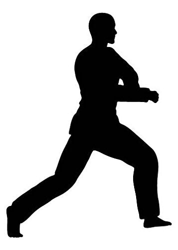 Picniva Fighting Sport Type 50 Removable Vinyl Wall Decal