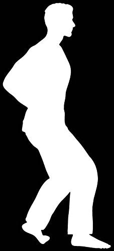 Picniva Martial Arts Fighter Sty183 Vinyl Car Window Decal, Approx 5 in