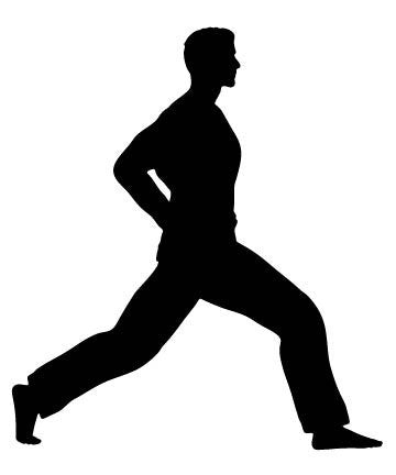 Picniva Martial Artist Deep Lunge Removable Vinyl Wall Decal