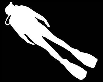 Picniva Diver Type2b Vinyl Car Window Decal, Approx 5 in