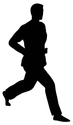 Picniva Fighting Sport Style 86 Removable Vinyl Wall Decal