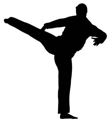 Picniva Fighting Sport Type 27 Removable Vinyl Wall Decal