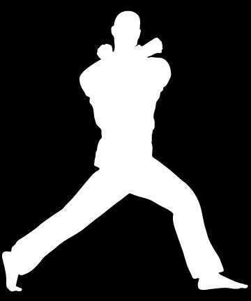 Picniva Martial Arts Fighter Sty56 Vinyl Car Window Decal, Approx 5 in