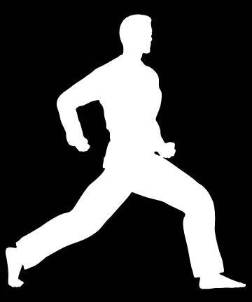Picniva Martial Arts Fighter Sty188 Vinyl Car Window Decal, Approx 5 in