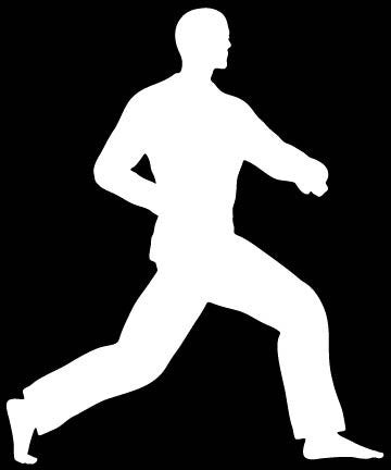 Picniva Martial Arts Fighter Sty57 Vinyl Car Window Decal, Approx 5 in