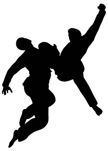 Picniva Fighting Sport Type 25 Removable Vinyl Wall Decal