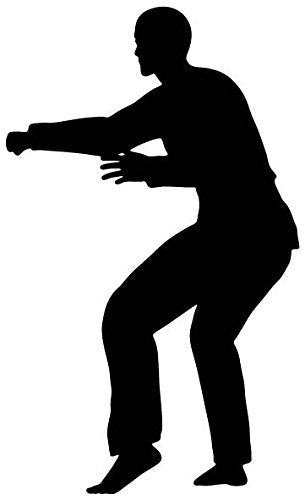 Picniva Fighting Sport Type 3 Removable Vinyl Wall Decal