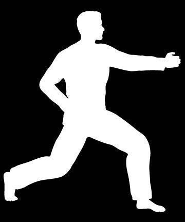 Picniva Martial Arts Fighter Sty152 Vinyl Car Window Decal, Approx 5 in
